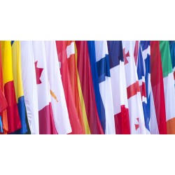 Bandera de Países